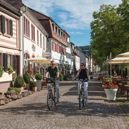 Altstadthotel 3* Marktheidenfeld